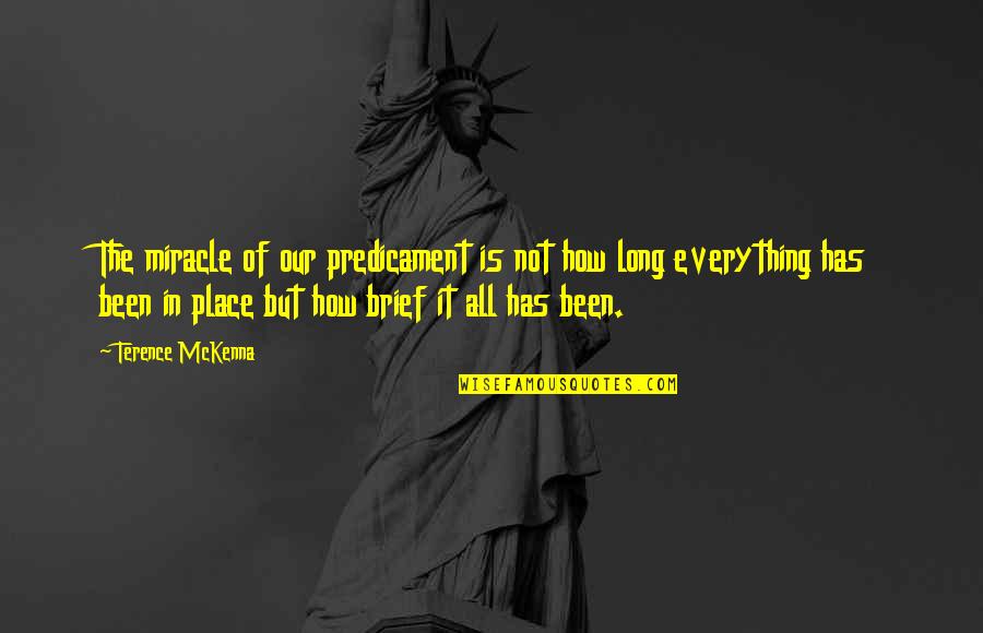 Catface Wildland Quotes By Terence McKenna: The miracle of our predicament is not how Catface Wildland Quotes By Terence McKenna: The miracle of our predicament is not how