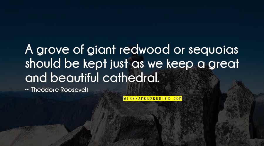 Cathedral Quotes By Theodore Roosevelt: A grove of giant redwood or sequoias should