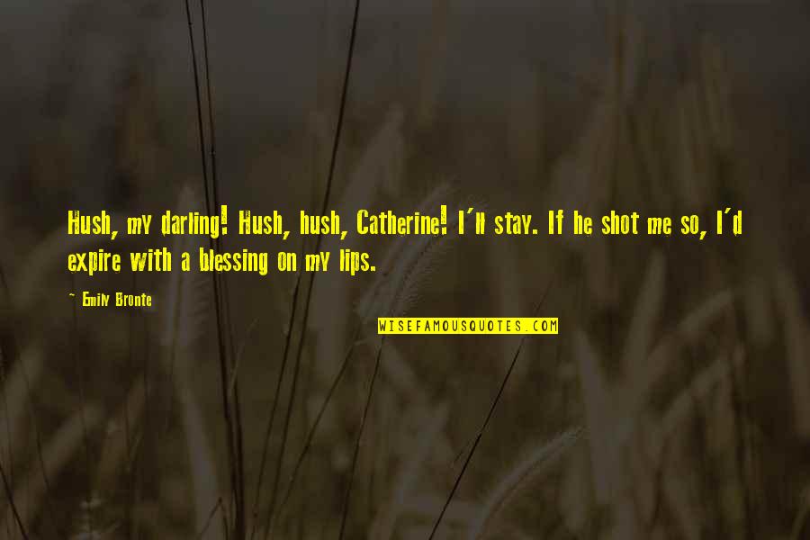 Catherine And Heathcliff Quotes By Emily Bronte: Hush, my darling! Hush, hush, Catherine! I'll stay.