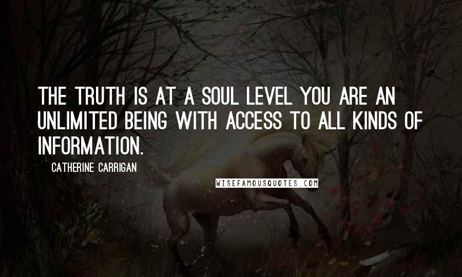 Catherine Carrigan quotes: The truth is at a soul level you are an unlimited being with access to all kinds of information.