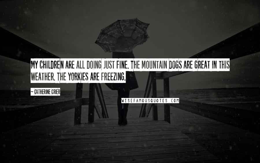 Catherine Crier quotes: My children are all doing just fine. The mountain dogs are great in this weather. The yorkies are freezing.