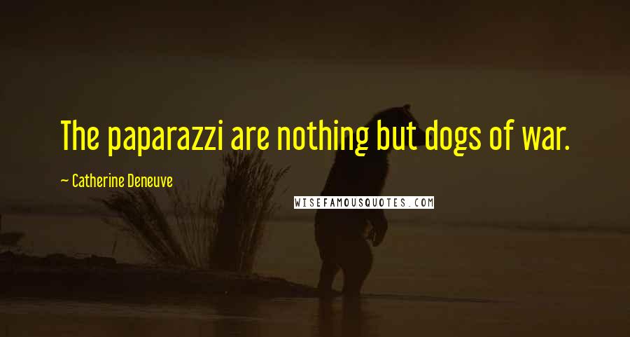 Catherine Deneuve quotes: The paparazzi are nothing but dogs of war.