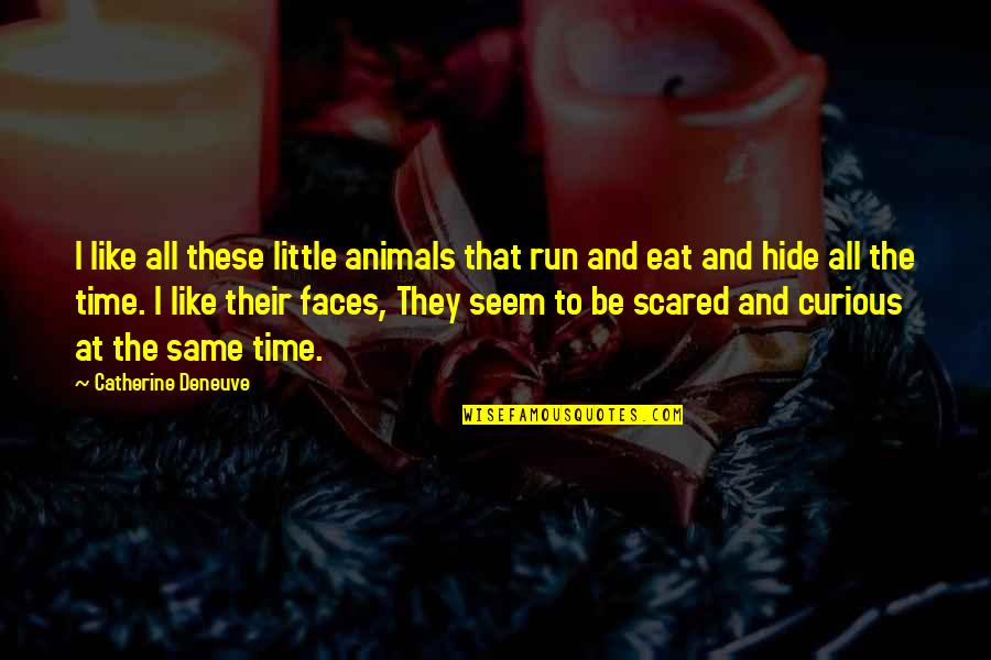 Catherine Deneuve Quotes By Catherine Deneuve: I like all these little animals that run Catherine Deneuve Quotes By Catherine Deneuve: I like all these little animals that run