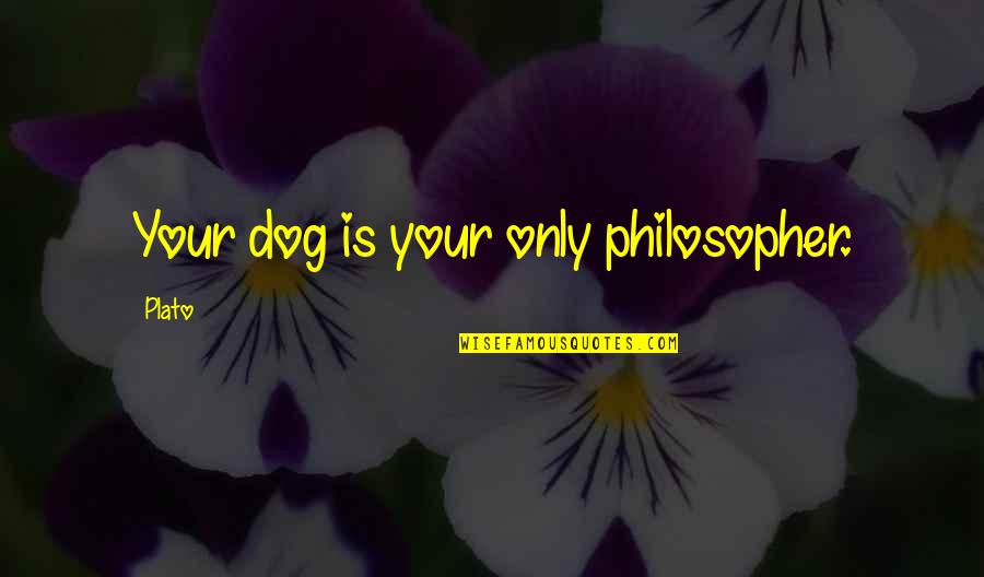 Catherine Deveny Quotes By Plato: Your dog is your only philosopher.