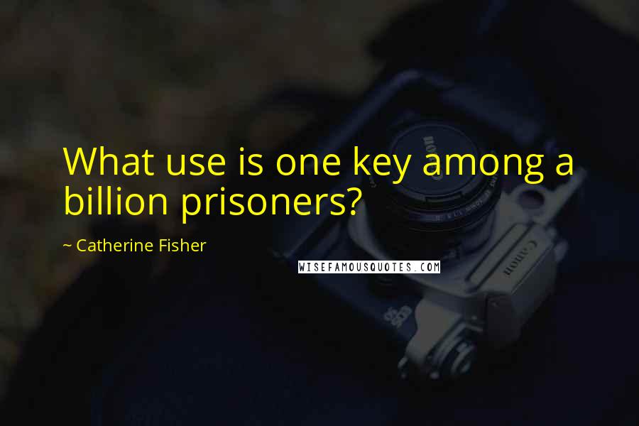 Catherine Fisher quotes: What use is one key among a billion prisoners?