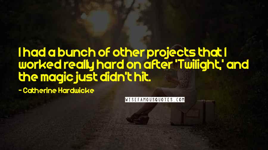 Catherine Hardwicke quotes: I had a bunch of other projects that I worked really hard on after 'Twilight,' and the magic just didn't hit.