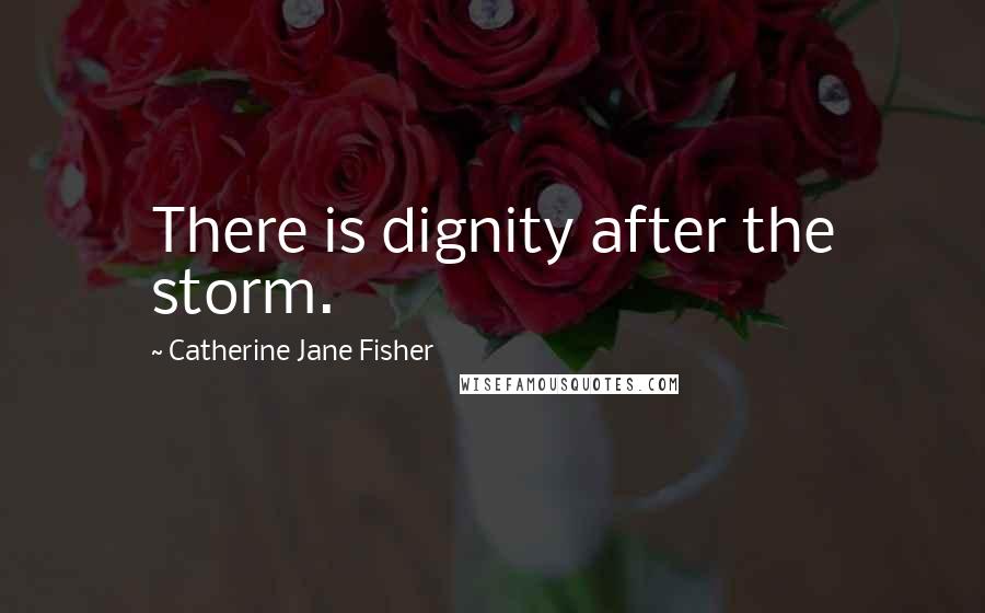 Catherine Jane Fisher quotes: There is dignity after the storm.