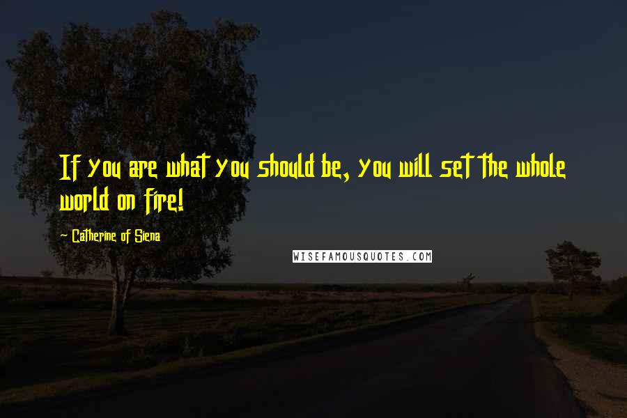 Catherine Of Siena quotes: If you are what you should be, you will set the whole world on fire!