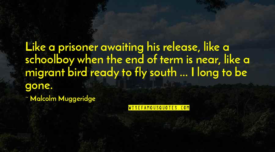 Catherman Seven Quotes By Malcolm Muggeridge: Like a prisoner awaiting his release, like a