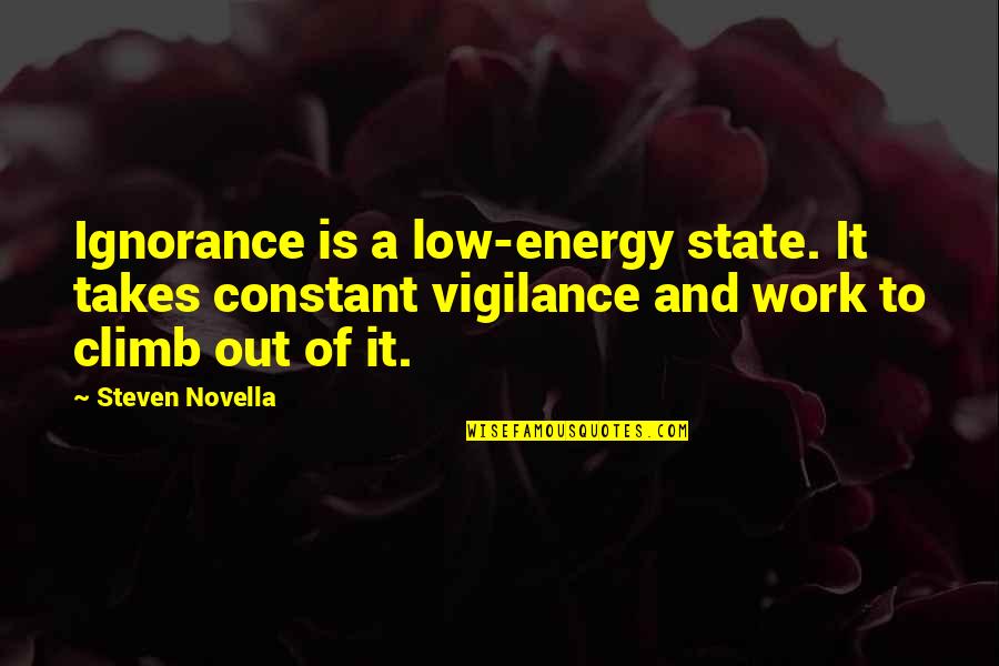 Cathey Quotes By Steven Novella: Ignorance is a low-energy state. It takes constant