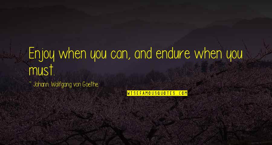 Catholic Charities Quotes By Johann Wolfgang Von Goethe: Enjoy when you can, and endure when you