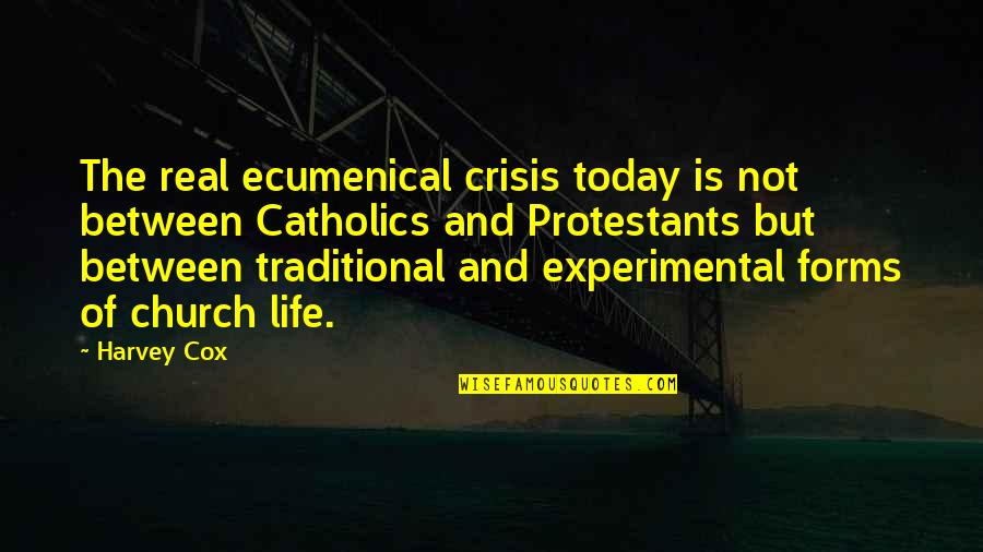 Catholic Church Quotes By Harvey Cox: The real ecumenical crisis today is not between