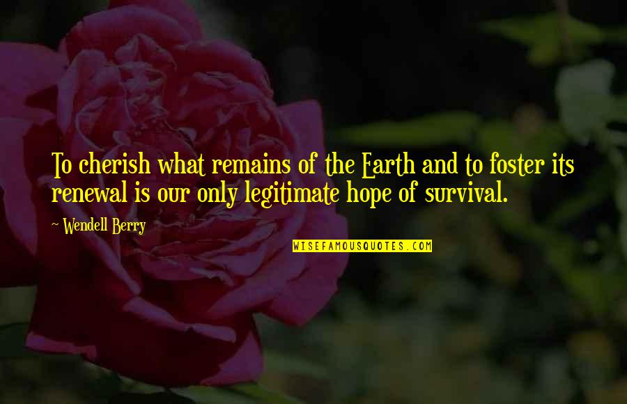 Catholic Inspirational Marriage Quotes By Wendell Berry: To cherish what remains of the Earth and