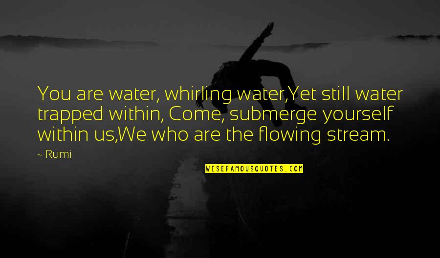 Catholic Martyrdom Quotes By Rumi: You are water, whirling water,Yet still water trapped