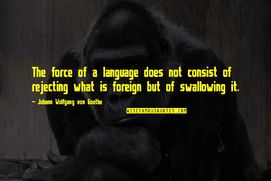 Cathy Horyn Quotes By Johann Wolfgang Von Goethe: The force of a language does not consist