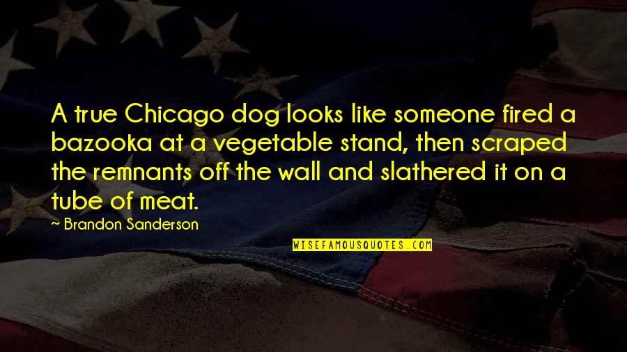 Cathy Nesbitt Stein Quotes By Brandon Sanderson: A true Chicago dog looks like someone fired