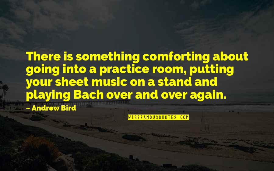Catis Corner Quotes By Andrew Bird: There is something comforting about going into a