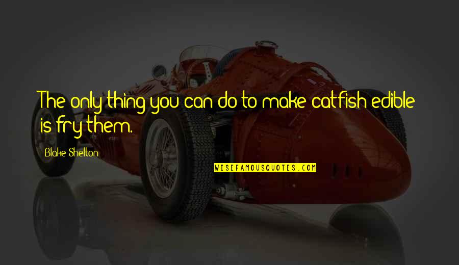 Catlike Coding Quotes By Blake Shelton: The only thing you can do to make