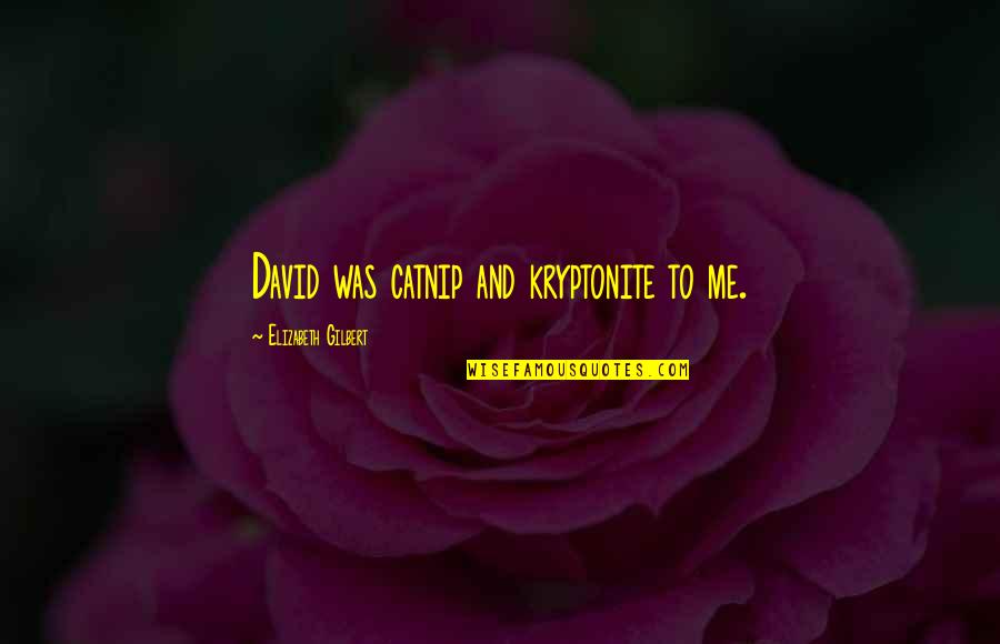 Catnip Quotes By Elizabeth Gilbert: David was catnip and kryptonite to me. Catnip Quotes By Elizabeth Gilbert: David was catnip and kryptonite to me.