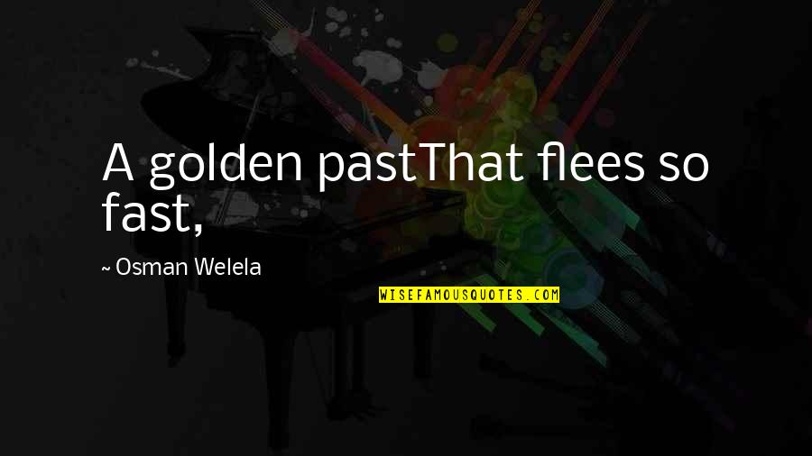 Cato Hadley Quotes By Osman Welela: A golden pastThat flees so fast,