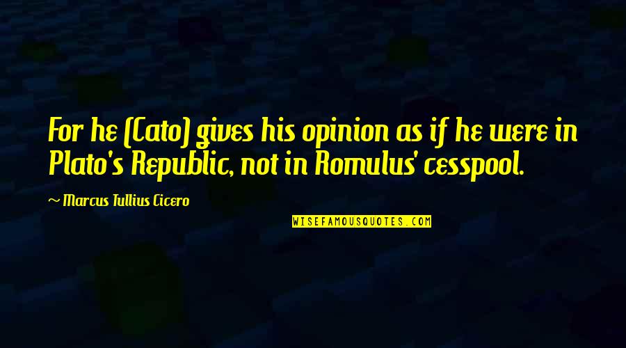Cato Quotes By Marcus Tullius Cicero: For he (Cato) gives his opinion as if
