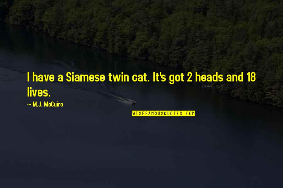 Cats 9 Lives Quotes By M.J. McGuire: I have a Siamese twin cat. It's got