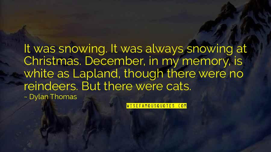 Cats And Christmas Quotes By Dylan Thomas: It was snowing. It was always snowing at