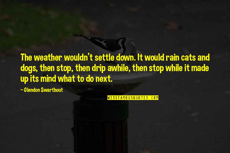 Cats And Dogs Funny Quotes By Glendon Swarthout: The weather wouldn't settle down. It would rain