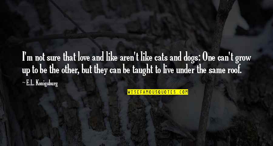 Cats And Dogs Quotes By E.L. Konigsburg: I'm not sure that love and like aren't Cats And Dogs Quotes By E.L. Konigsburg: I'm not sure that love and like aren't