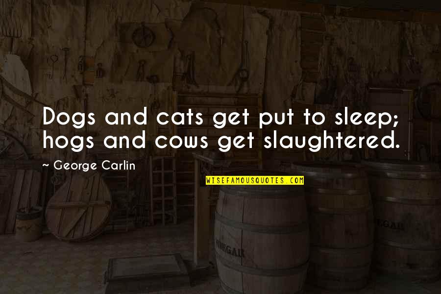 Cats And Dogs Quotes By George Carlin: Dogs and cats get put to sleep; hogs