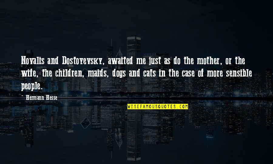 Cats And Dogs Quotes By Hermann Hesse: Novalis and Dostoyevsky, awaited me just as do Cats And Dogs Quotes By Hermann Hesse: Novalis and Dostoyevsky, awaited me just as do
