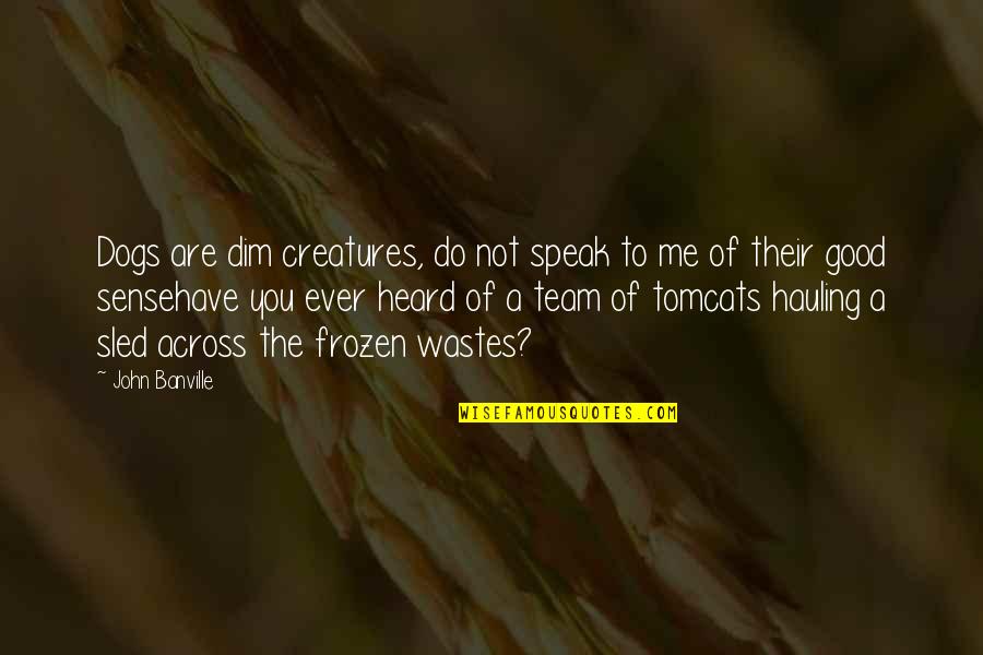 Cats And Dogs Quotes By John Banville: Dogs are dim creatures, do not speak to Cats And Dogs Quotes By John Banville: Dogs are dim creatures, do not speak to