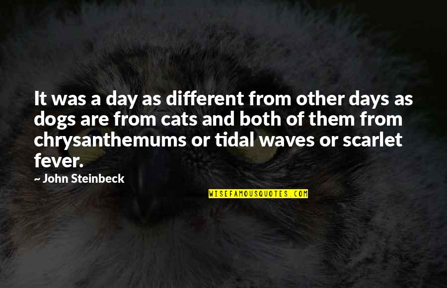 Cats And Dogs Quotes By John Steinbeck: It was a day as different from other