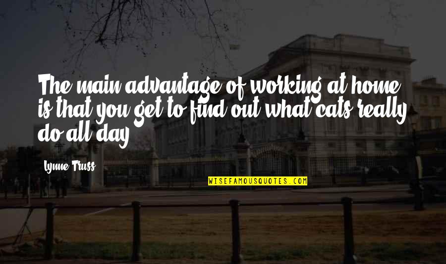 Cats And Home Quotes By Lynne Truss: The main advantage of working at home is Cats And Home Quotes By Lynne Truss: The main advantage of working at home is