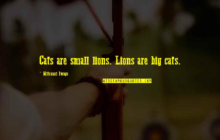 Cats And Lions Quotes By Mitsuaki Iwago: Cats are small lions. Lions are big cats.