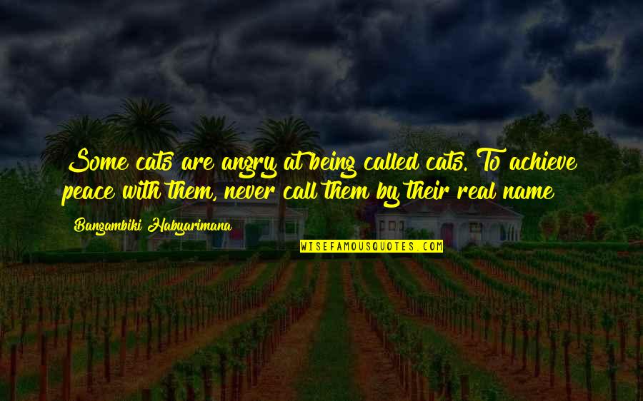 Cats Are Life Quotes By Bangambiki Habyarimana: Some cats are angry at being called cats. Cats Are Life Quotes By Bangambiki Habyarimana: Some cats are angry at being called cats.
