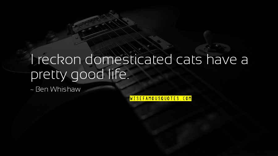 Cats Are Life Quotes By Ben Whishaw: I reckon domesticated cats have a pretty good Cats Are Life Quotes By Ben Whishaw: I reckon domesticated cats have a pretty good