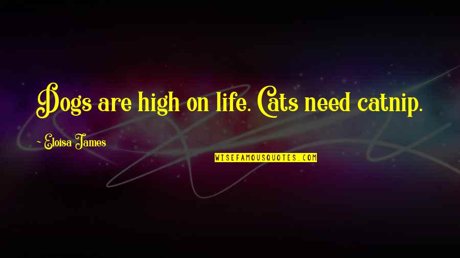 Cats Are Life Quotes By Eloisa James: Dogs are high on life. Cats need catnip. Cats Are Life Quotes By Eloisa James: Dogs are high on life. Cats need catnip.