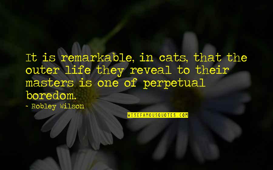 Cats Are Life Quotes By Robley Wilson: It is remarkable, in cats, that the outer Cats Are Life Quotes By Robley Wilson: It is remarkable, in cats, that the outer