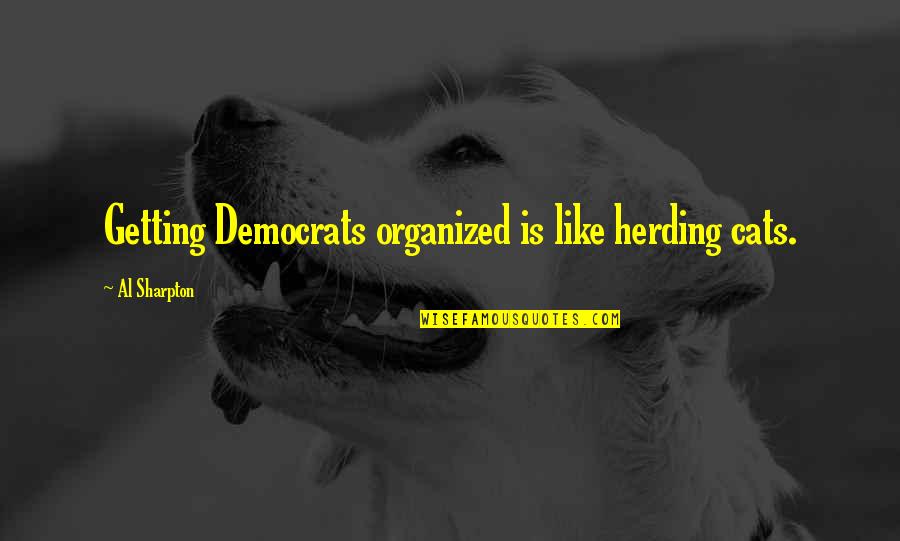 Cats Be Like Quotes By Al Sharpton: Getting Democrats organized is like herding cats.