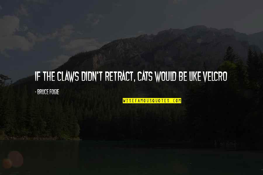 Cats Be Like Quotes By Bruce Fogle: If the claws didn't retract, cats would be