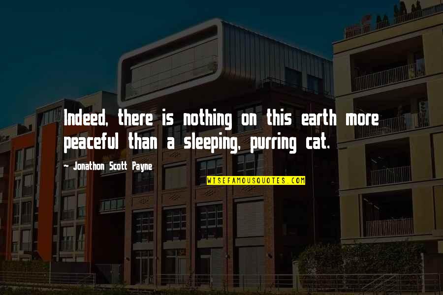 Cats Best Quotes By Jonathon Scott Payne: Indeed, there is nothing on this earth more