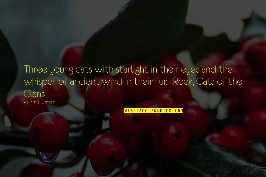 Cats Eyes Quotes By Erin Hunter: Three young cats with starlight in their eyes