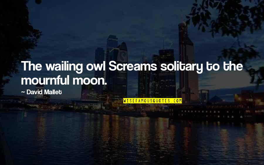 Cats In Heaven Quotes By David Mallet: The wailing owl Screams solitary to the mournful