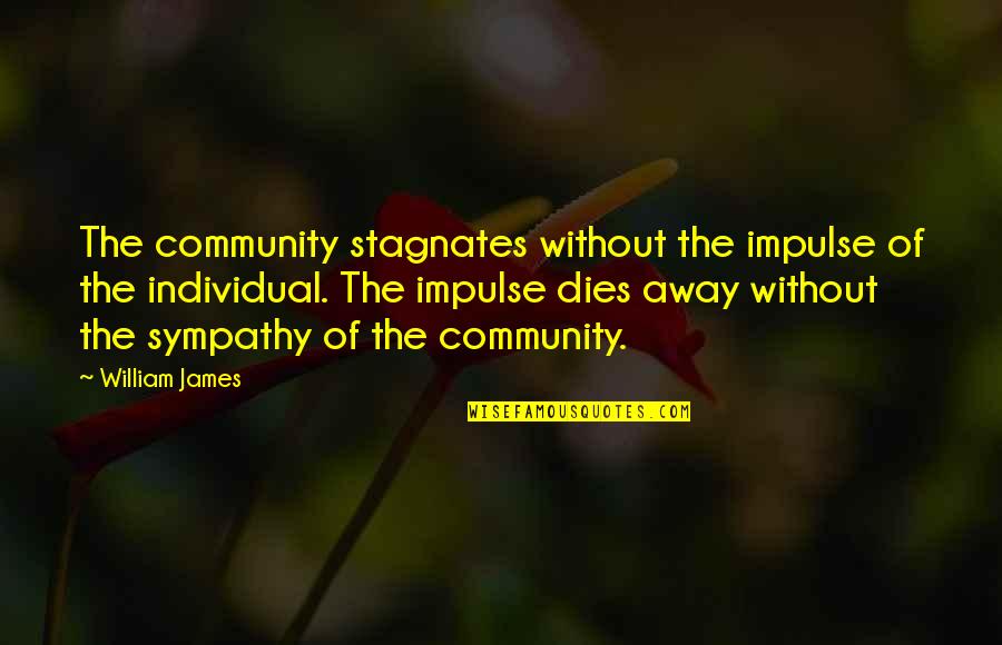 Cat's Pajamas Quotes By William James: The community stagnates without the impulse of the