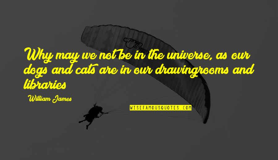 Cats Vs Dogs Quotes By William James: Why may we not be in the universe,