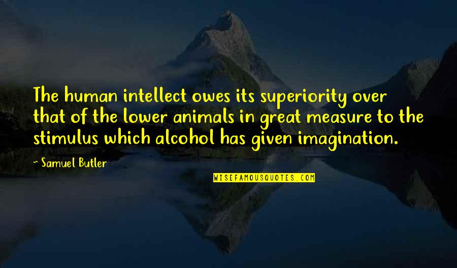 Catteau Houplines Quotes By Samuel Butler: The human intellect owes its superiority over that Catteau Houplines Quotes By Samuel Butler: The human intellect owes its superiority over that