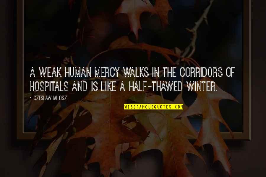 Cattitude Quotes By Czeslaw Milosz: A weak human mercy walks in the corridors