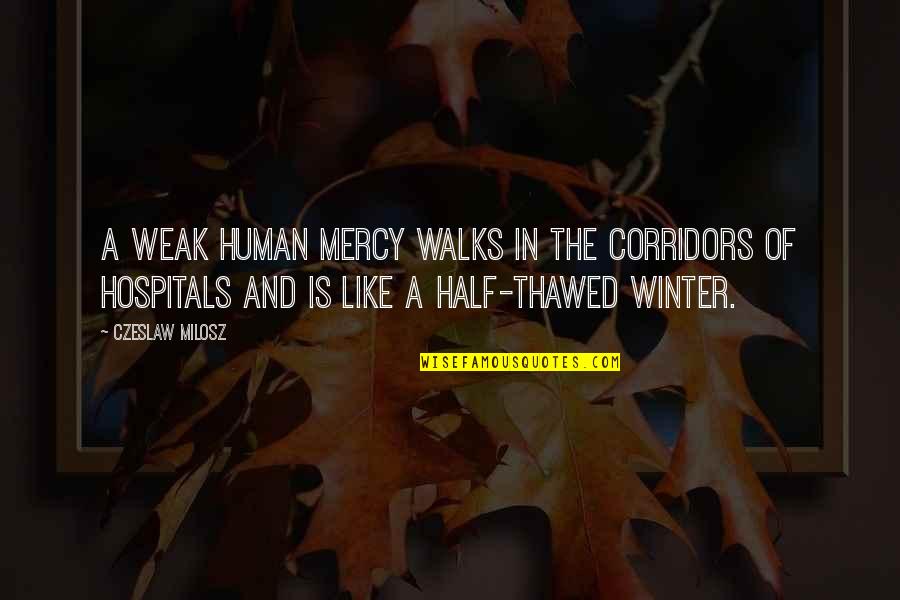 Cattitude Quotes By Czeslaw Milosz: A weak human mercy walks in the corridors Cattitude Quotes By Czeslaw Milosz: A weak human mercy walks in the corridors