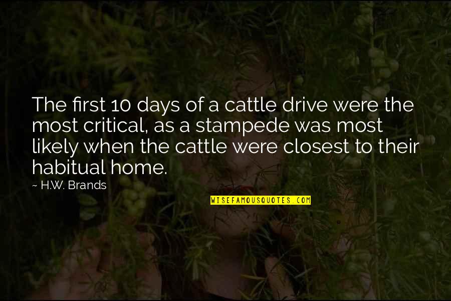 Cattle Drive Quotes By H.W. Brands: The first 10 days of a cattle drive